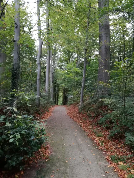 Gaasbeek + Kasteel van Gaasbeek (Lennik, België)